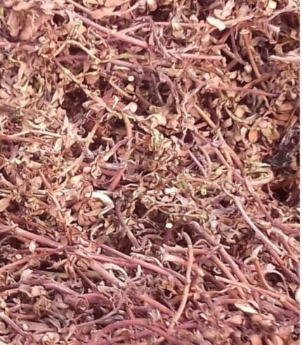 Brahmi,  nir Brahmi , jal Brahmi Retails - 100g
