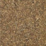 Ajmoda Seeds Retail