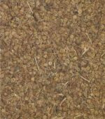 Ajmoda Seeds Bulk