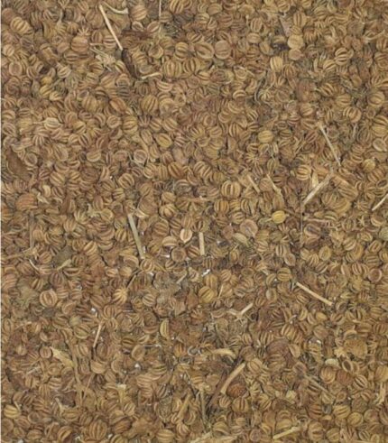 Ajmoda Seeds Retail - 100g