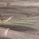 coconut Brooms Stick