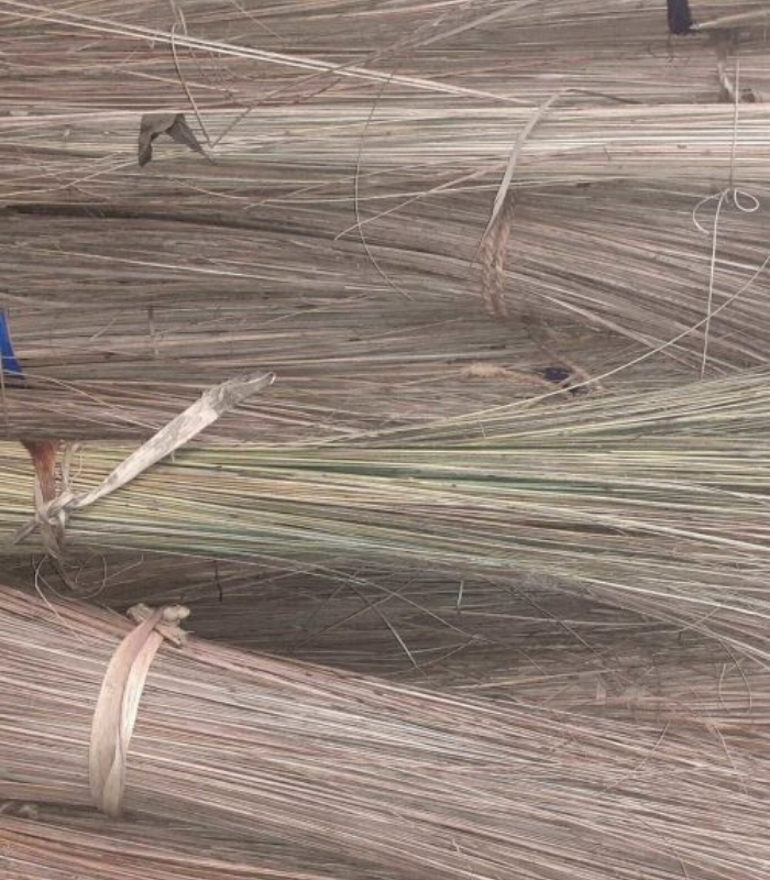 coconut Brooms Stick