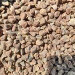 Vidhara Seeds | Hawaiian Baby Woodrose Seeds | Bidhara Asli | Vidhara Seeds | Vruddhadaru - Image 2