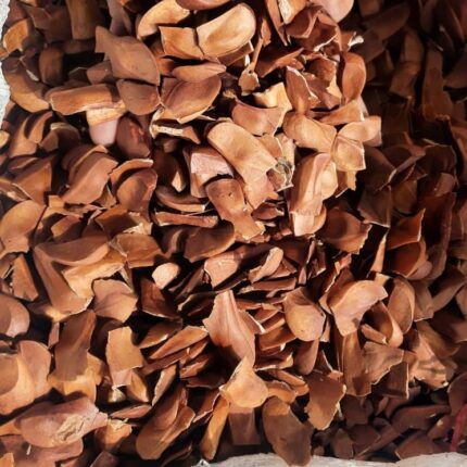 Sky Fruit Seeds | Mahogany Seeds Retail - 100gm