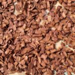 Sky Fruit Seeds | Mahogany Seeds - Image 3
