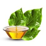 Betel leaf oil retail