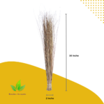 Coconut Broom | Model: Nano | Hight: 30" | Weight:250g