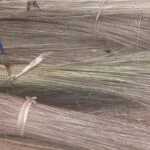 Coconut Brooms Stick | Size:  Low to 36 Inches